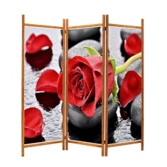 Parawan drukowany AKCENT