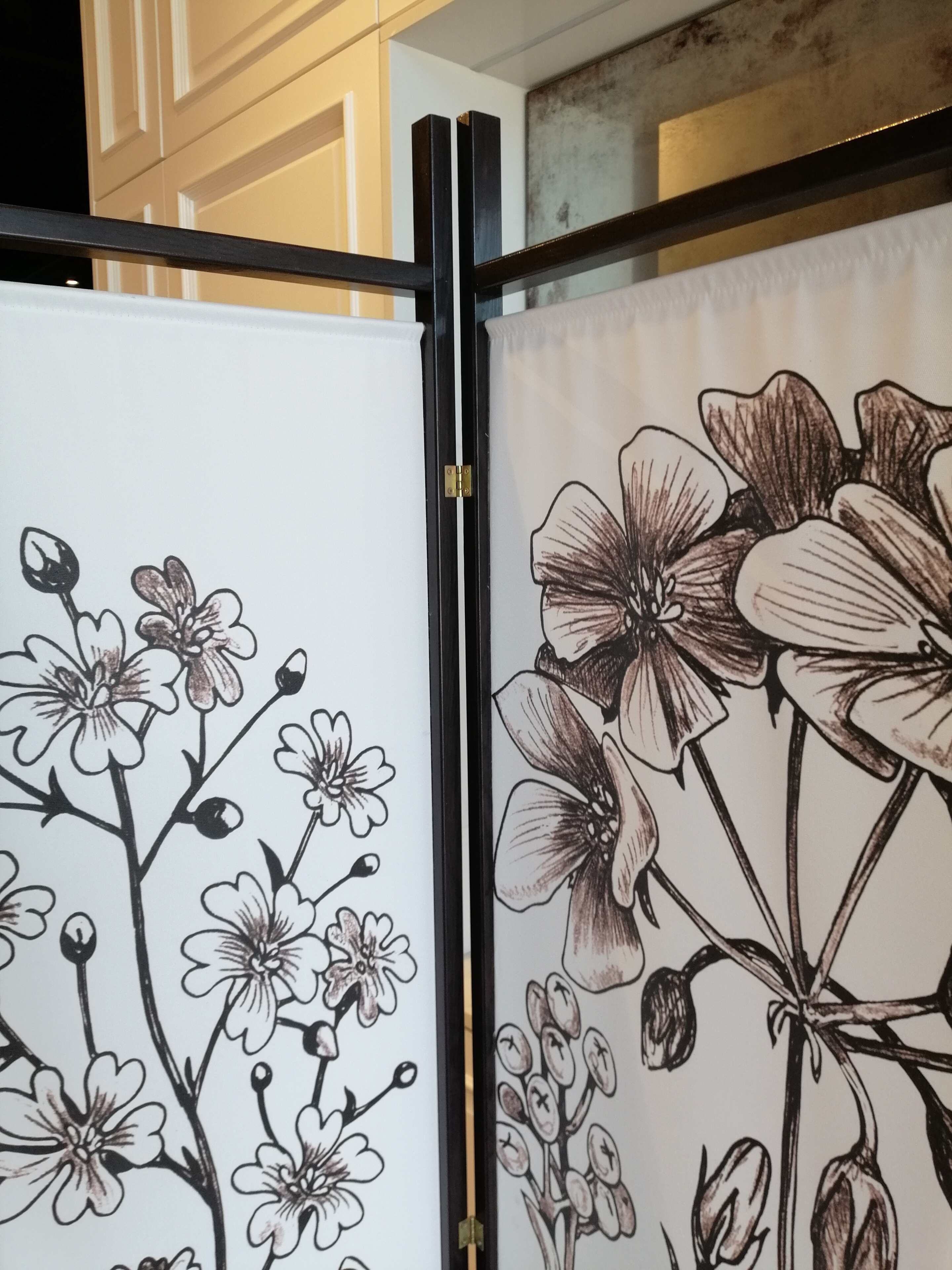 parawan czarno biały ramka 